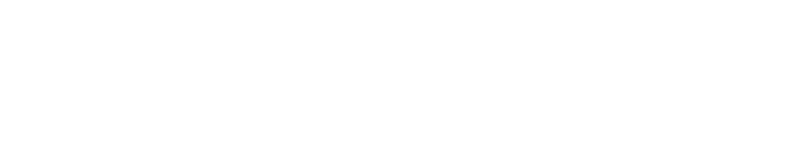 So-Hist-Info Logo
